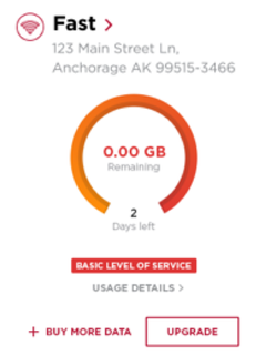 Fast plan data usage chart