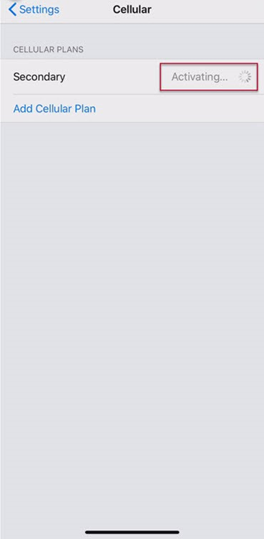 iPhone eSIM activation 13.png