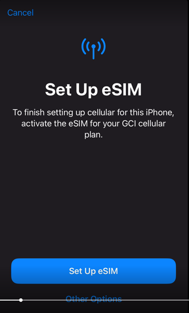 iPhone eSIM activation 5.png