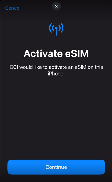 iPhone eSIM activation 2.png