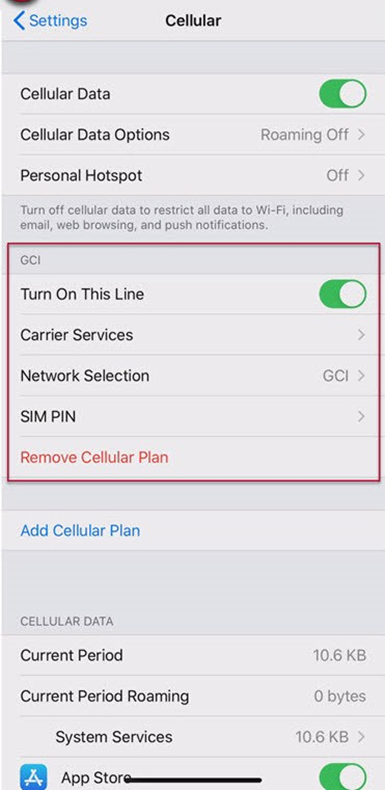 iPhone eSIM activation 15.png