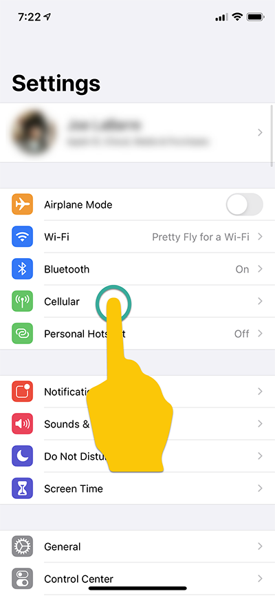 Cellular option in settings menu
