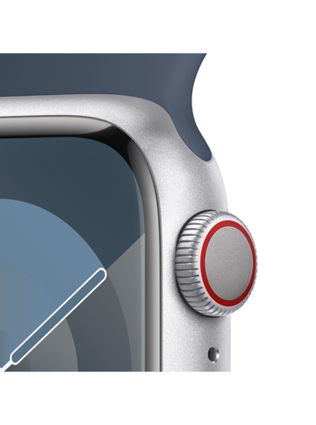 What is the red online ring on apple watch