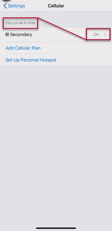 iPhone eSIM activation 14.png