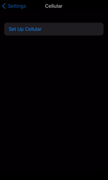 iPhone eSIM activation 4.png