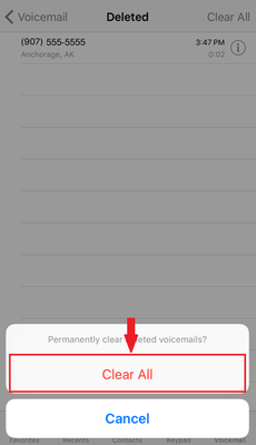 TK_SupportArticle_iPhoneVisualVoicemail_16_1_support_wireless_VVM9.png